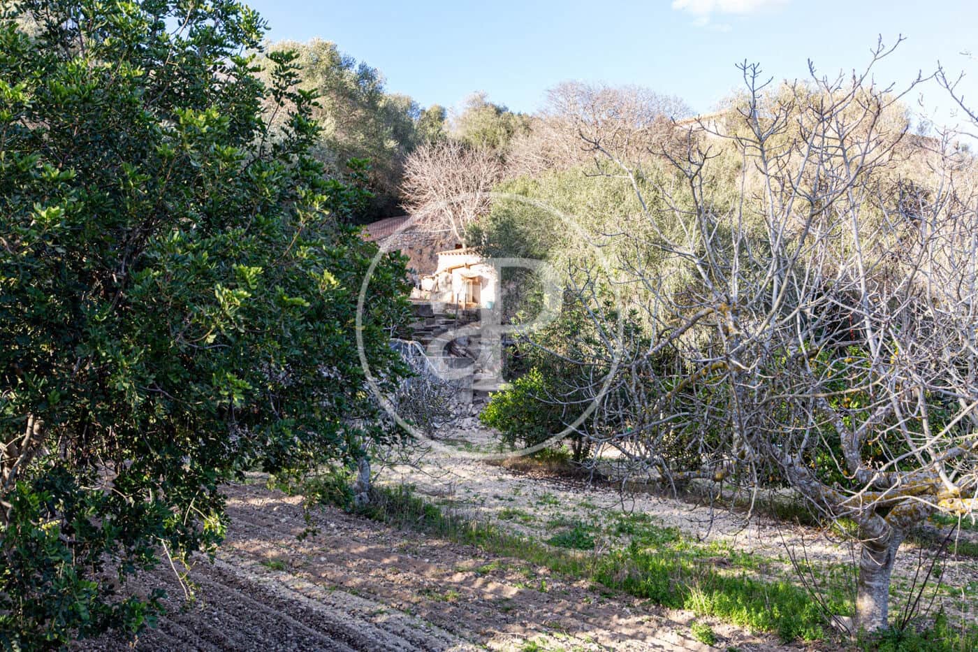 Grunde uden byggetilladelser til salg i Santa Margalida - € 450.000 (Ref: 8719068)