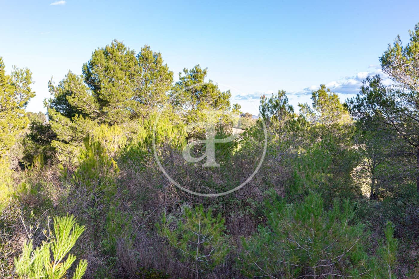 Grunde uden byggetilladelser til salg i Santa Margalida - € 450.000 (Ref: 8719068)