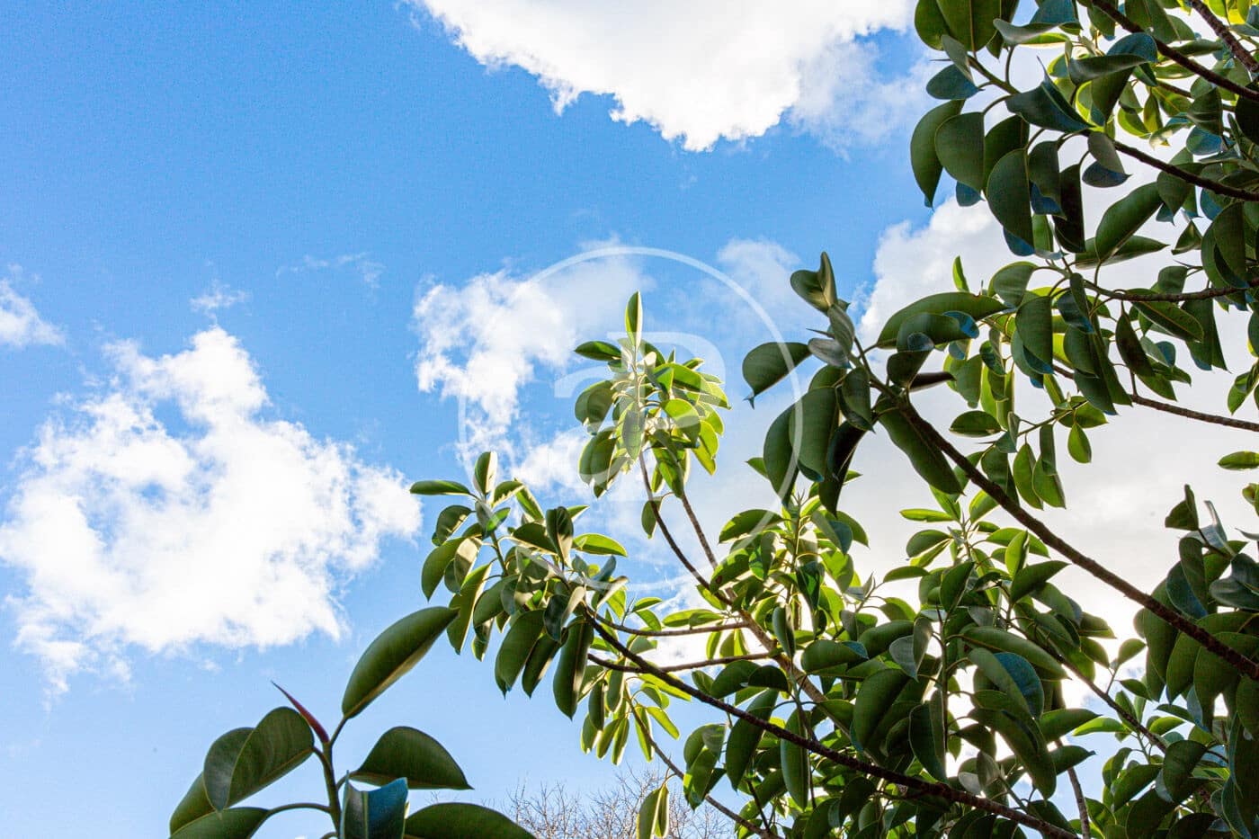 Grunde uden byggetilladelser til salg i Santa Margalida - € 450.000 (Ref: 8719068)