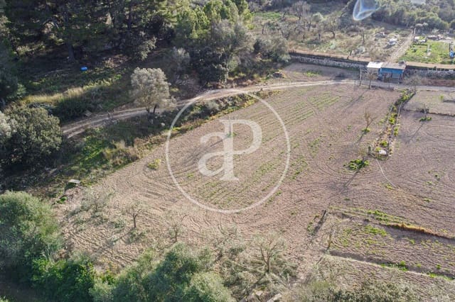 Undeveloped Land for sale in Santa Margalida - € 450,000 (Ref: 8719068)