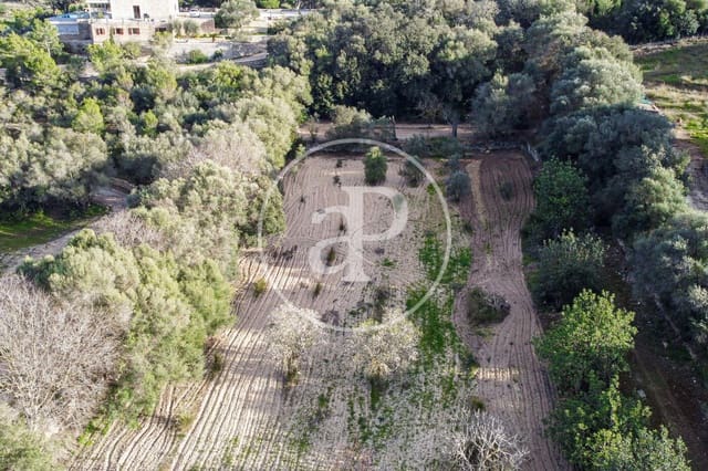 Undeveloped Land for sale in Santa Margalida - € 450,000 (Ref: 8719068)