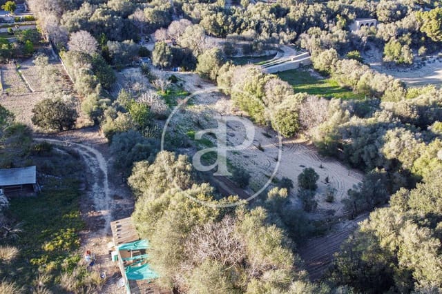 Undeveloped Land for sale in Santa Margalida - € 450,000 (Ref: 8719068)