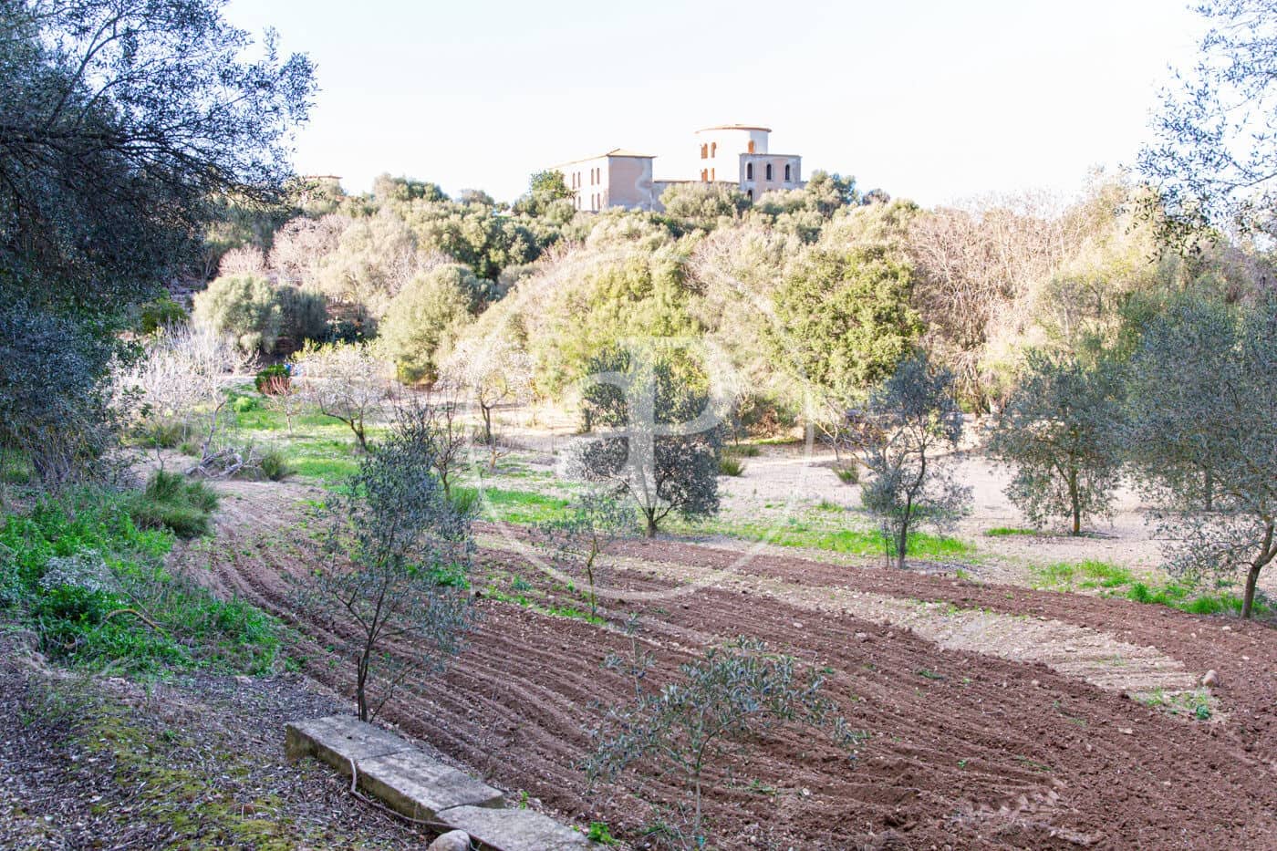 Grunde uden byggetilladelser til salg i Santa Margalida - € 450.000 (Ref: 8719068)