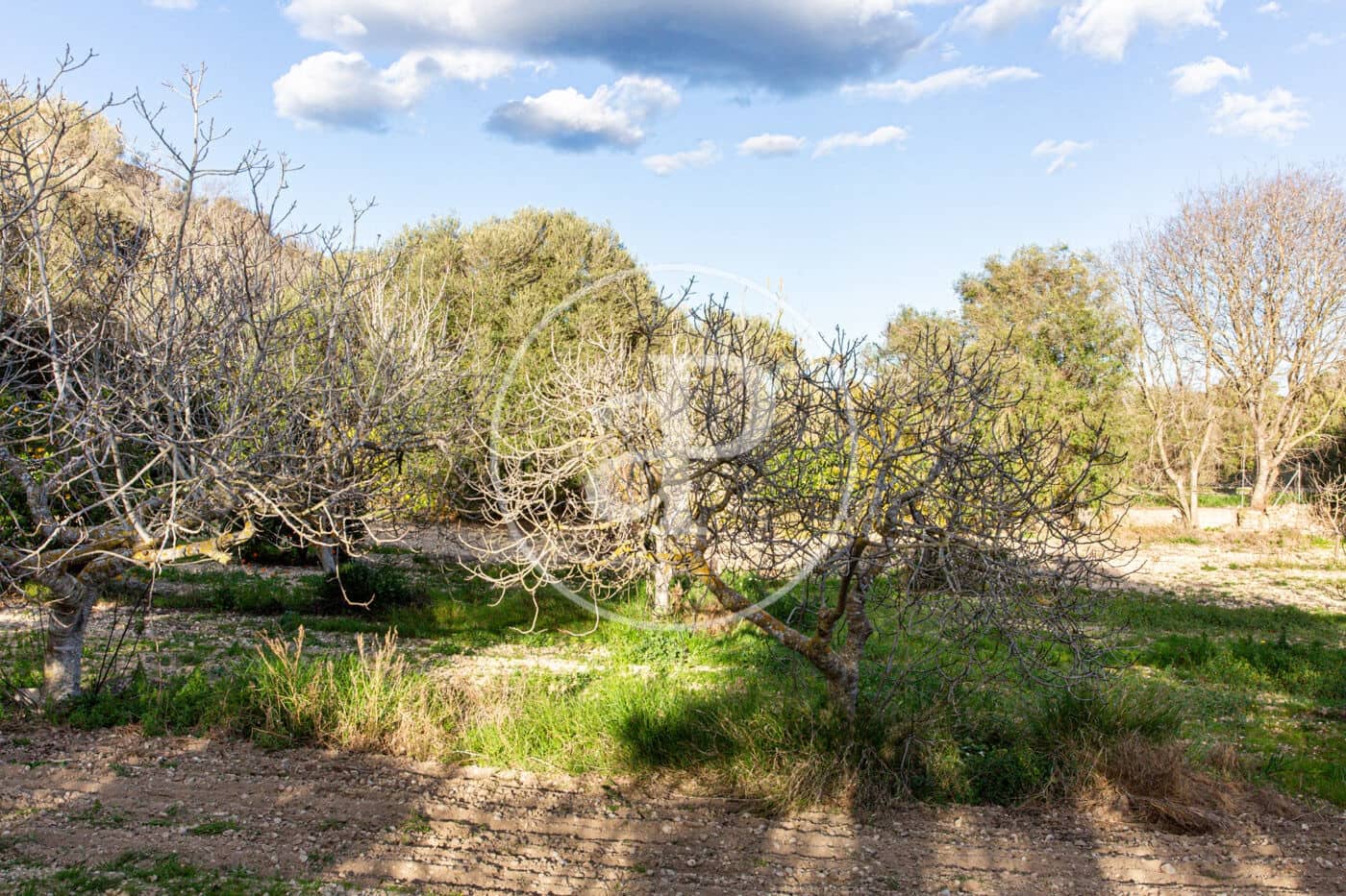 Grunde uden byggetilladelser til salg i Santa Margalida - € 450.000 (Ref: 8719068)