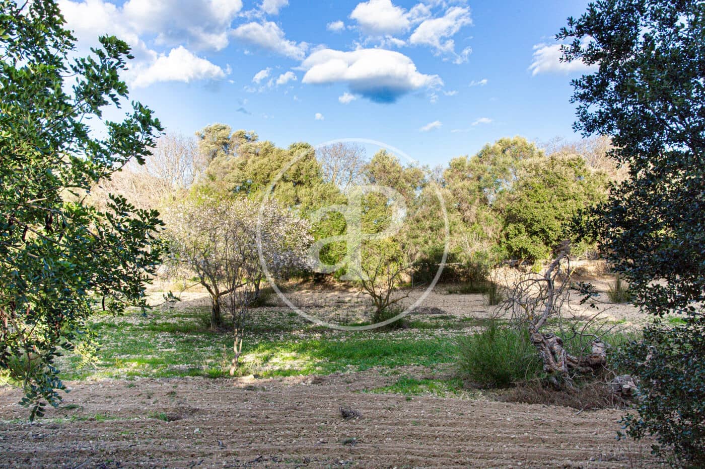 Grunde uden byggetilladelser til salg i Santa Margalida - € 450.000 (Ref: 8719068)