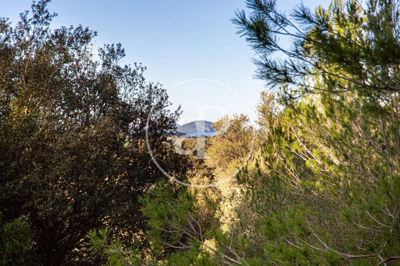 Grunde uden byggetilladelser til salg i Santa Margalida - € 450.000 (Ref: 8719068)