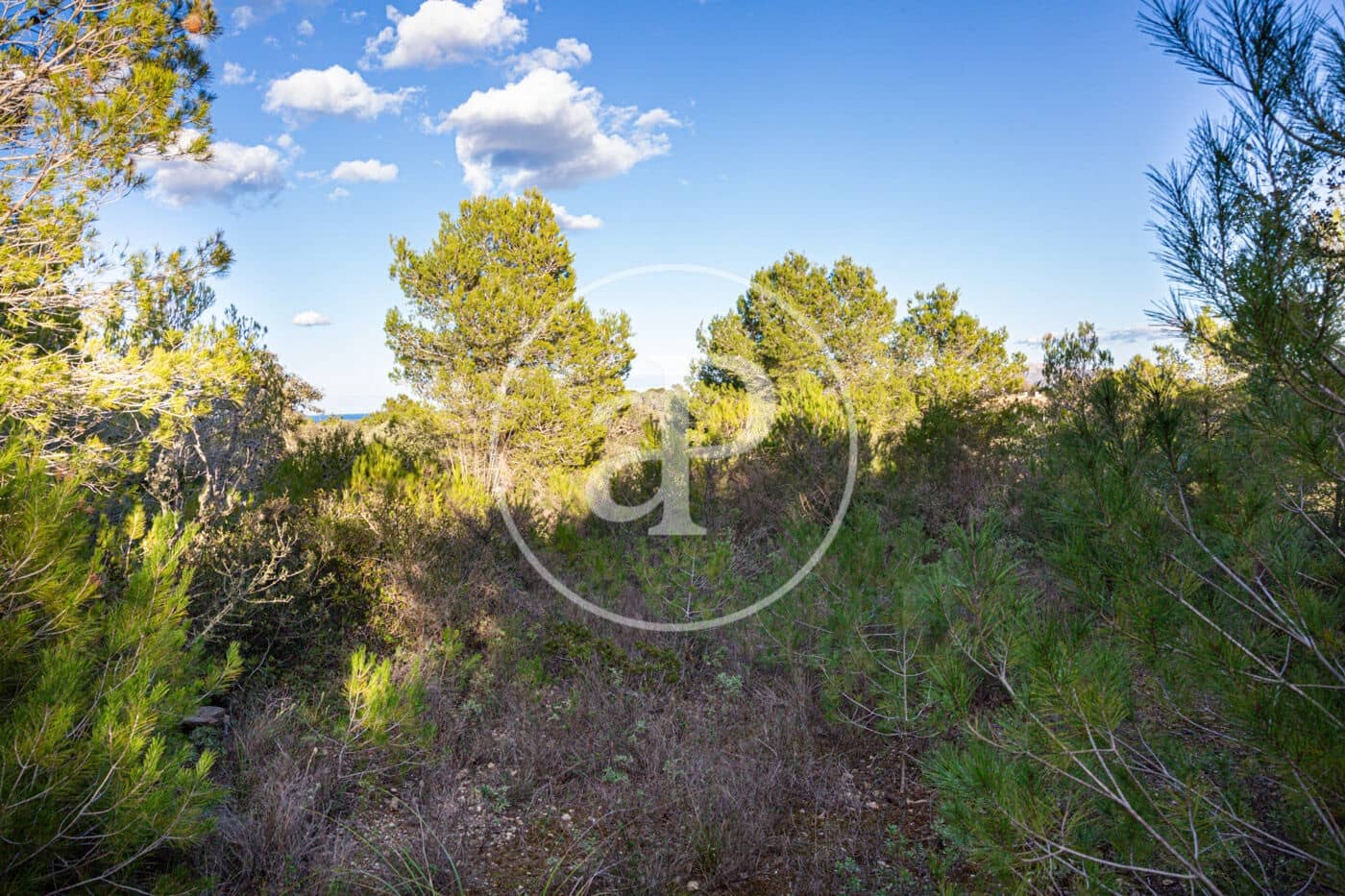 Grunde uden byggetilladelser til salg i Santa Margalida - € 450.000 (Ref: 8719068)