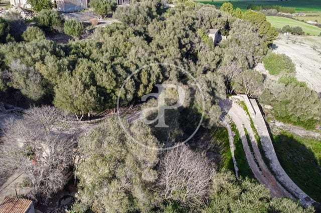 Undeveloped Land for sale in Santa Margalida - € 450,000 (Ref: 8719068)