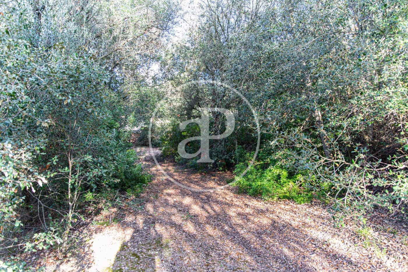 Grunde uden byggetilladelser til salg i Santa Margalida - € 450.000 (Ref: 8719068)