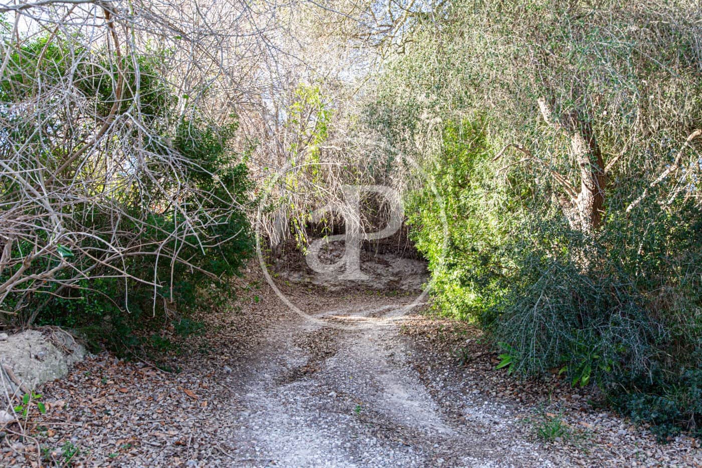 Grunde uden byggetilladelser til salg i Santa Margalida - € 450.000 (Ref: 8719068)