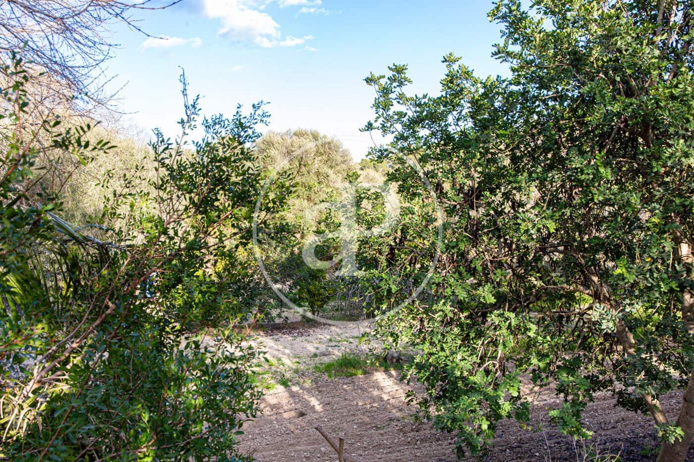 Grunde uden byggetilladelser til salg i Santa Margalida - € 450.000 (Ref: 8719068)