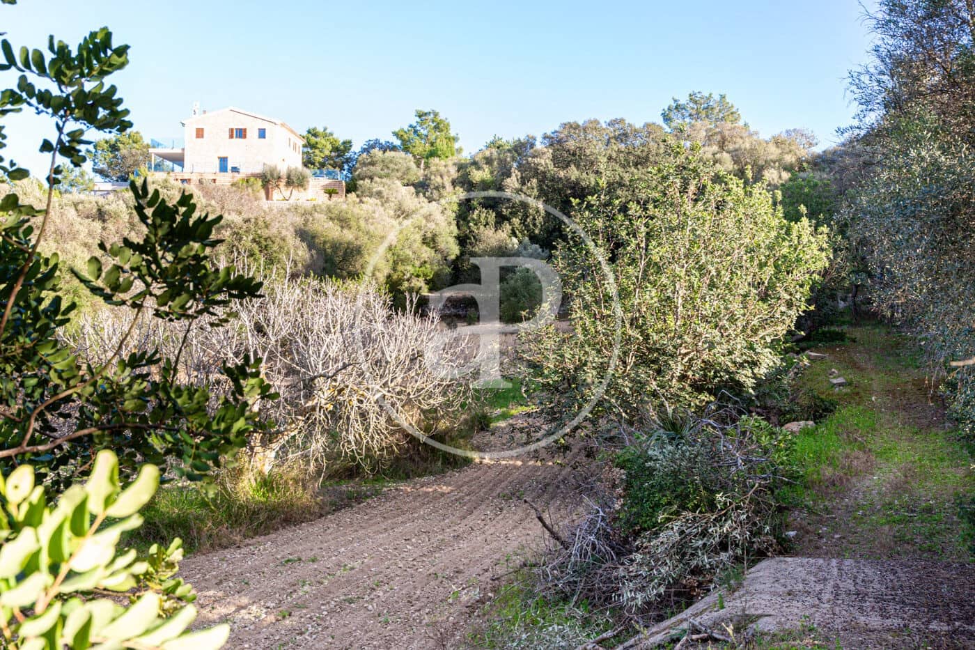 Grunde uden byggetilladelser til salg i Santa Margalida - € 450.000 (Ref: 8719068)