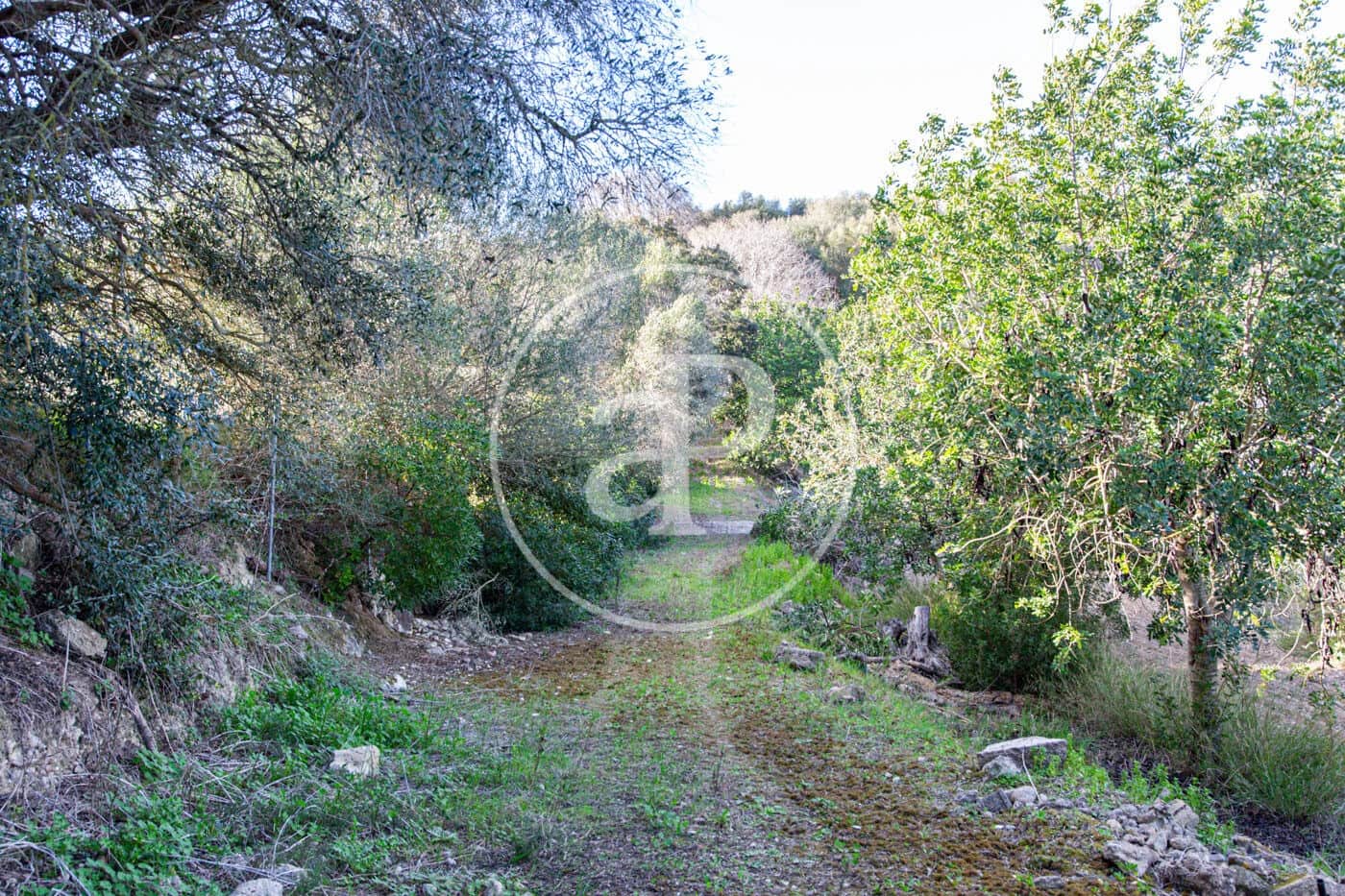 Grunde uden byggetilladelser til salg i Santa Margalida - € 450.000 (Ref: 8719068)