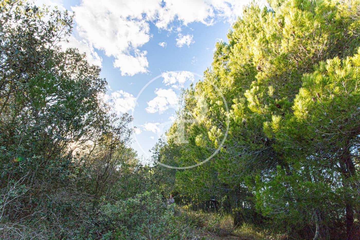 Grunde uden byggetilladelser til salg i Santa Margalida - € 450.000 (Ref: 8719068)