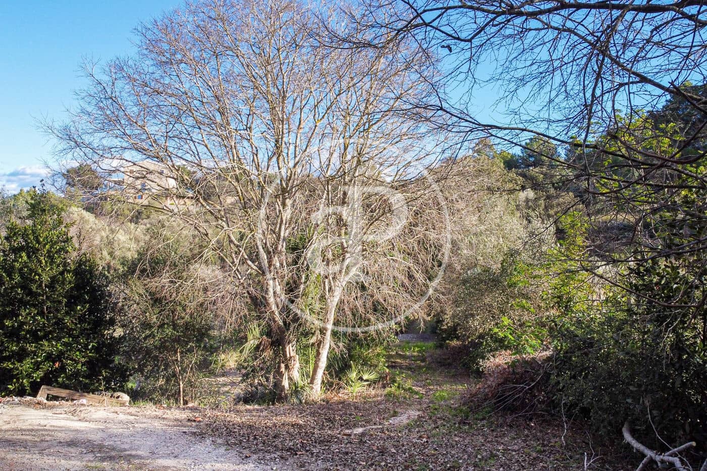 Grunde uden byggetilladelser til salg i Santa Margalida - € 450.000 (Ref: 8719068)