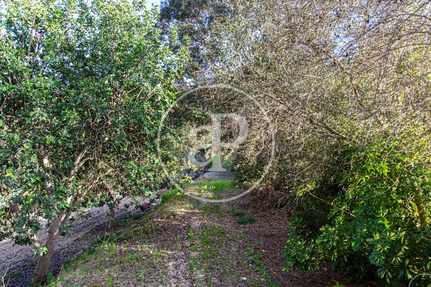 Grunde uden byggetilladelser til salg i Santa Margalida - € 450.000 (Ref: 8719068)