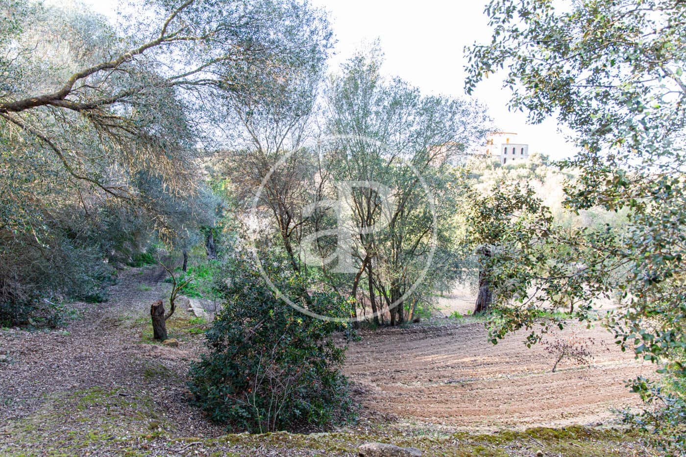 Grunde uden byggetilladelser til salg i Santa Margalida - € 450.000 (Ref: 8719068)