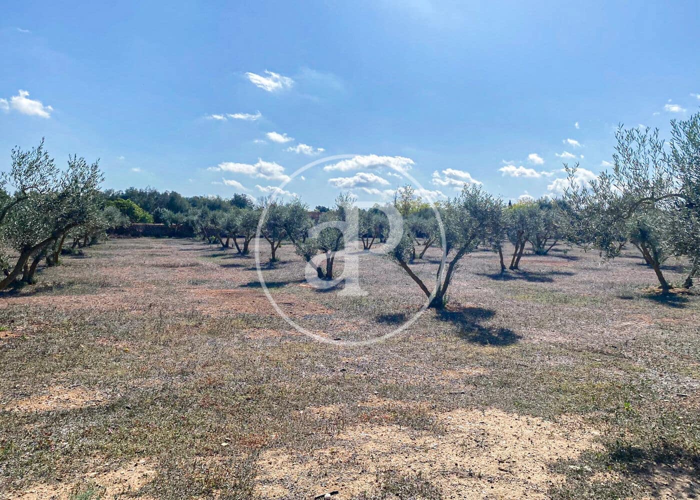 Villa/Maison de 5 chambres à louer à Llucmajor avec piscine - 10 000 € (Ref: 8726603)