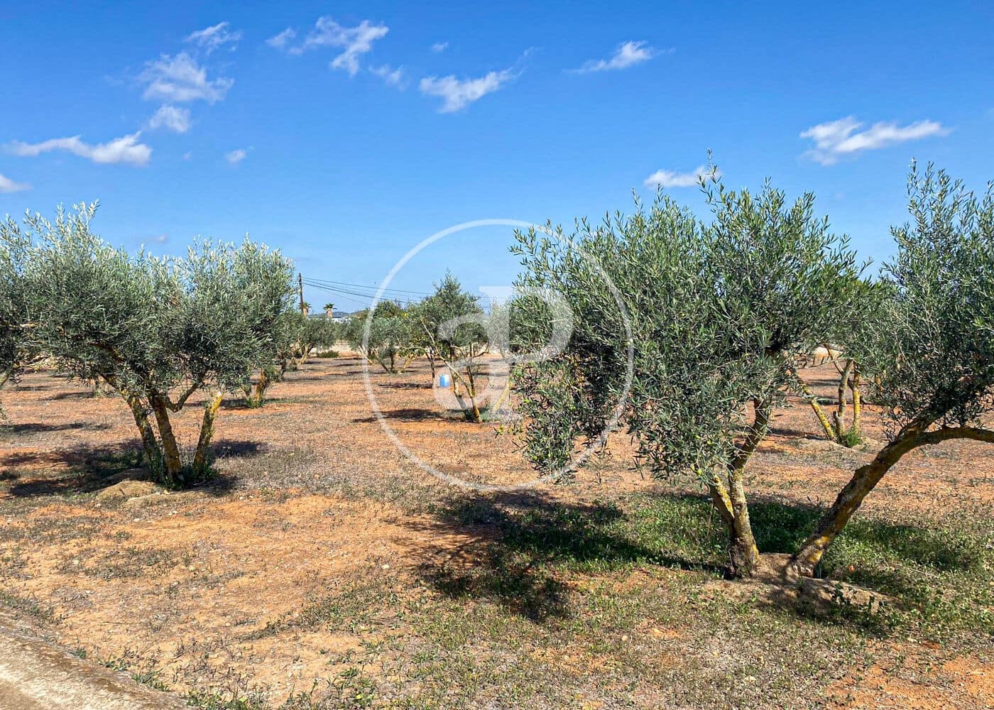 Villa/Maison de 5 chambres à louer à Llucmajor avec piscine - 10 000 € (Ref: 8726603)