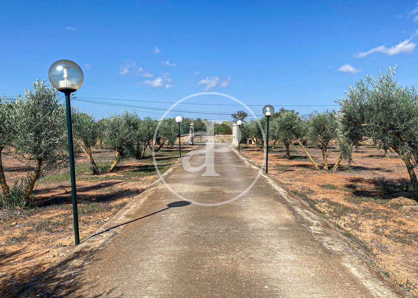 Villa/Maison de 5 chambres à louer à Llucmajor avec piscine - 10 000 € (Ref: 8726603)