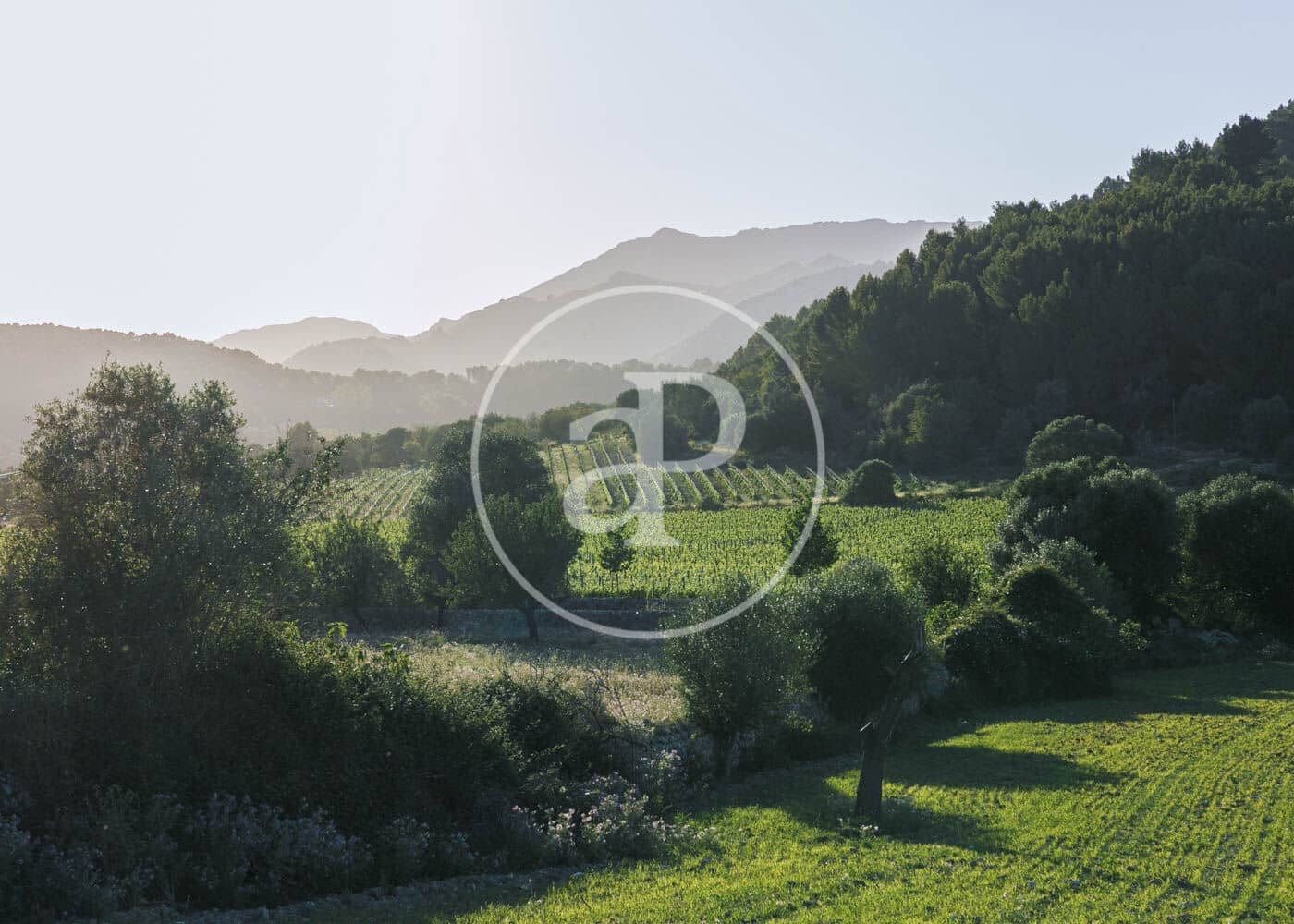 6 camera da letto Villa da affittare in Pollensa / Pollenca con piscina - 10.000 € (Rif: 8726610)