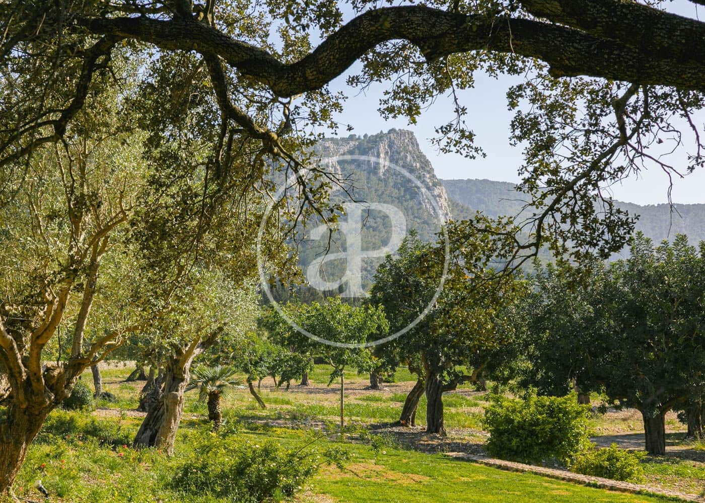 6 camera da letto Villa da affittare in Pollensa / Pollenca con piscina - 10.000 € (Rif: 8726610)