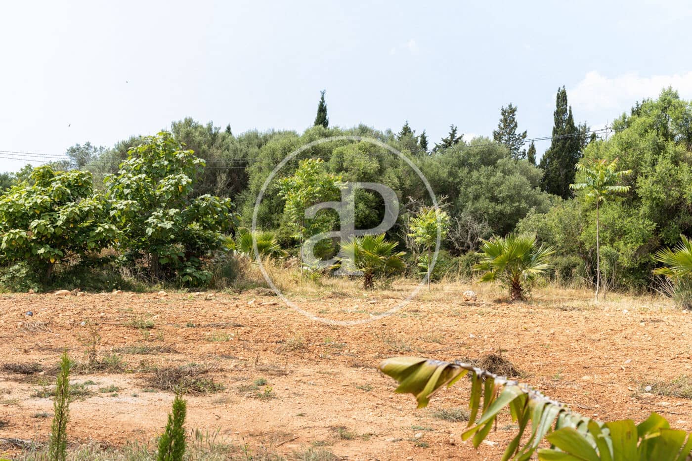 Villa/Maison de 5 chambres à louer à Santanyi avec piscine - 18 000 € (Ref: 8726614)