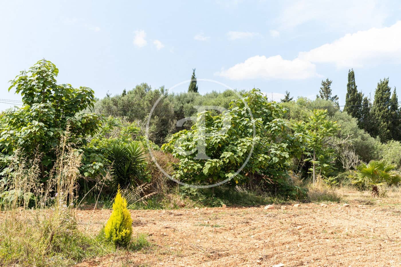 Villa/Maison de 5 chambres à louer à Santanyi avec piscine - 18 000 € (Ref: 8726614)