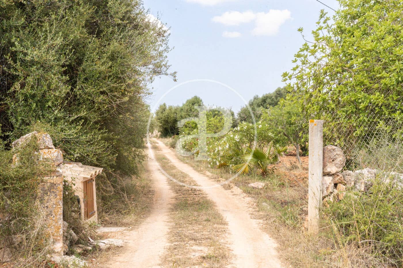 Villa/Maison de 5 chambres à louer à Santanyi avec piscine - 18 000 € (Ref: 8726614)