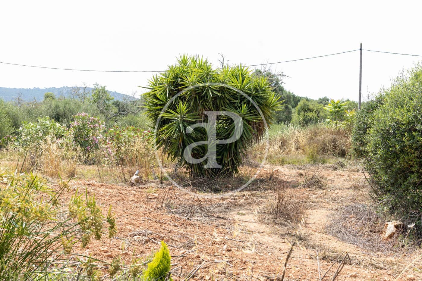 Villa/Maison de 5 chambres à louer à Santanyi avec piscine - 18 000 € (Ref: 8726614)