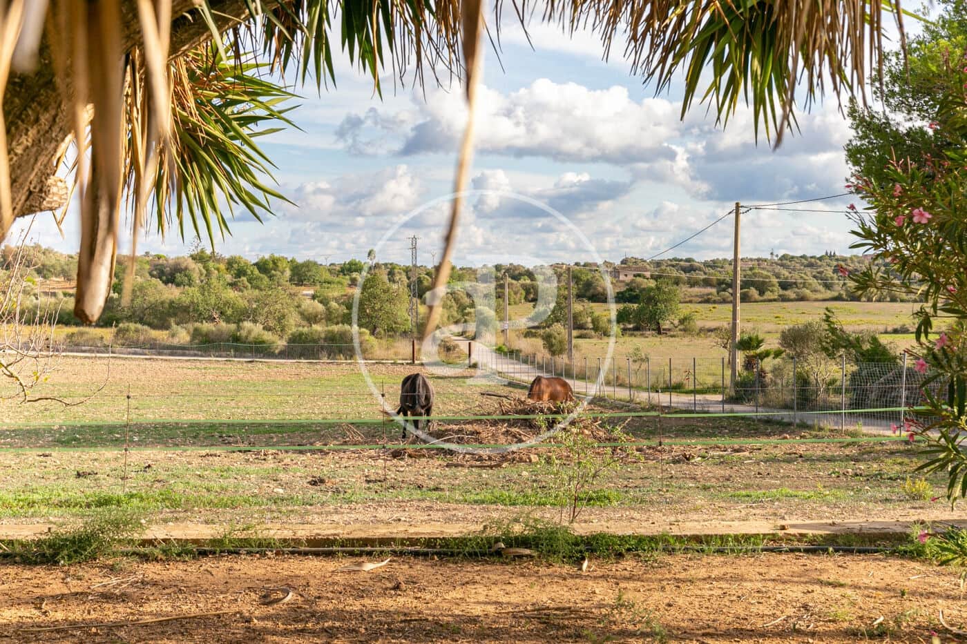 3 camera da letto Villa in vendita in Portocristo / Port de Manacor - 2.690.000 € (Rif: 8757046)