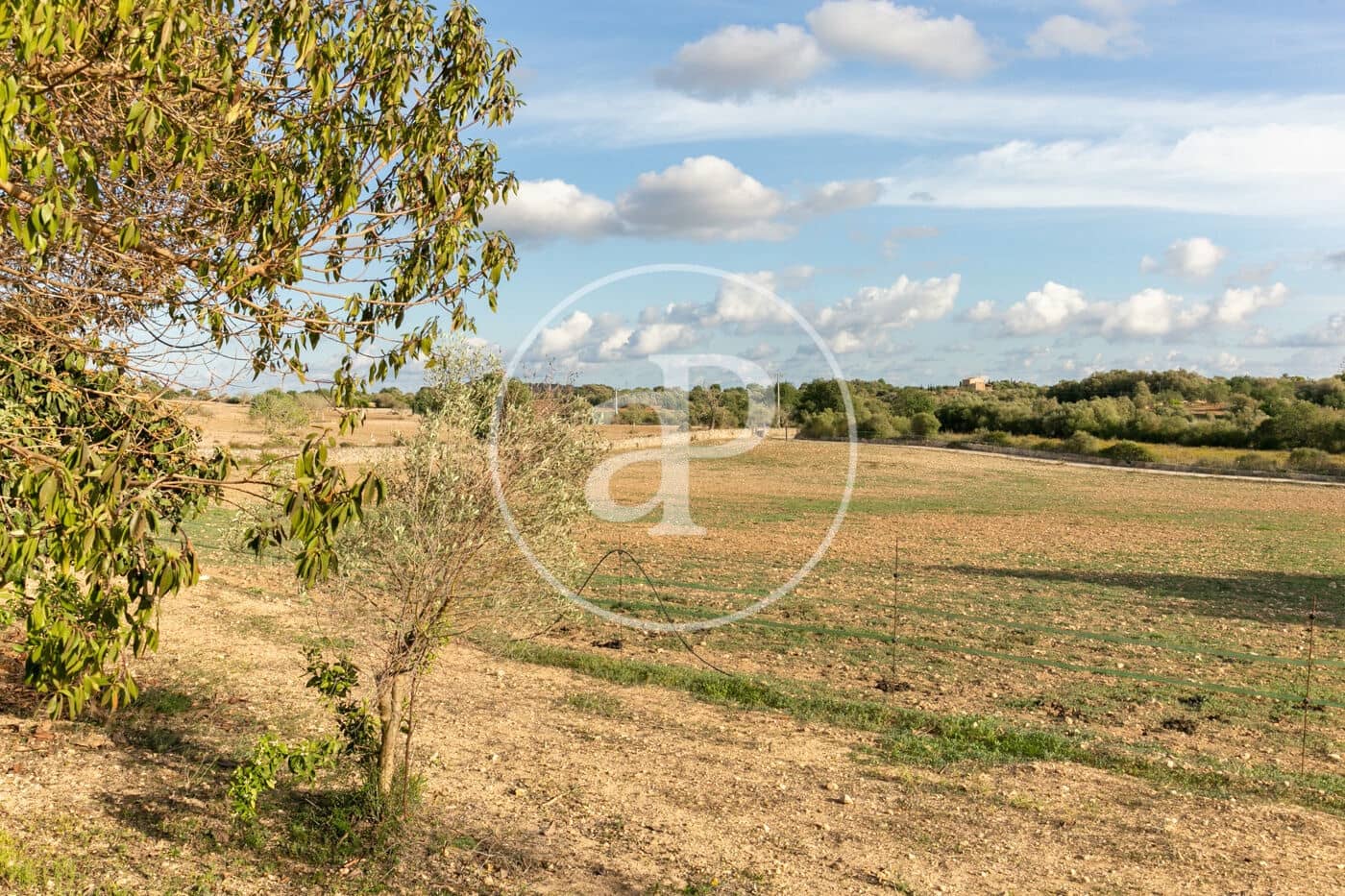 3 camera da letto Villa in vendita in Portocristo / Port de Manacor - 2.690.000 € (Rif: 8757046)