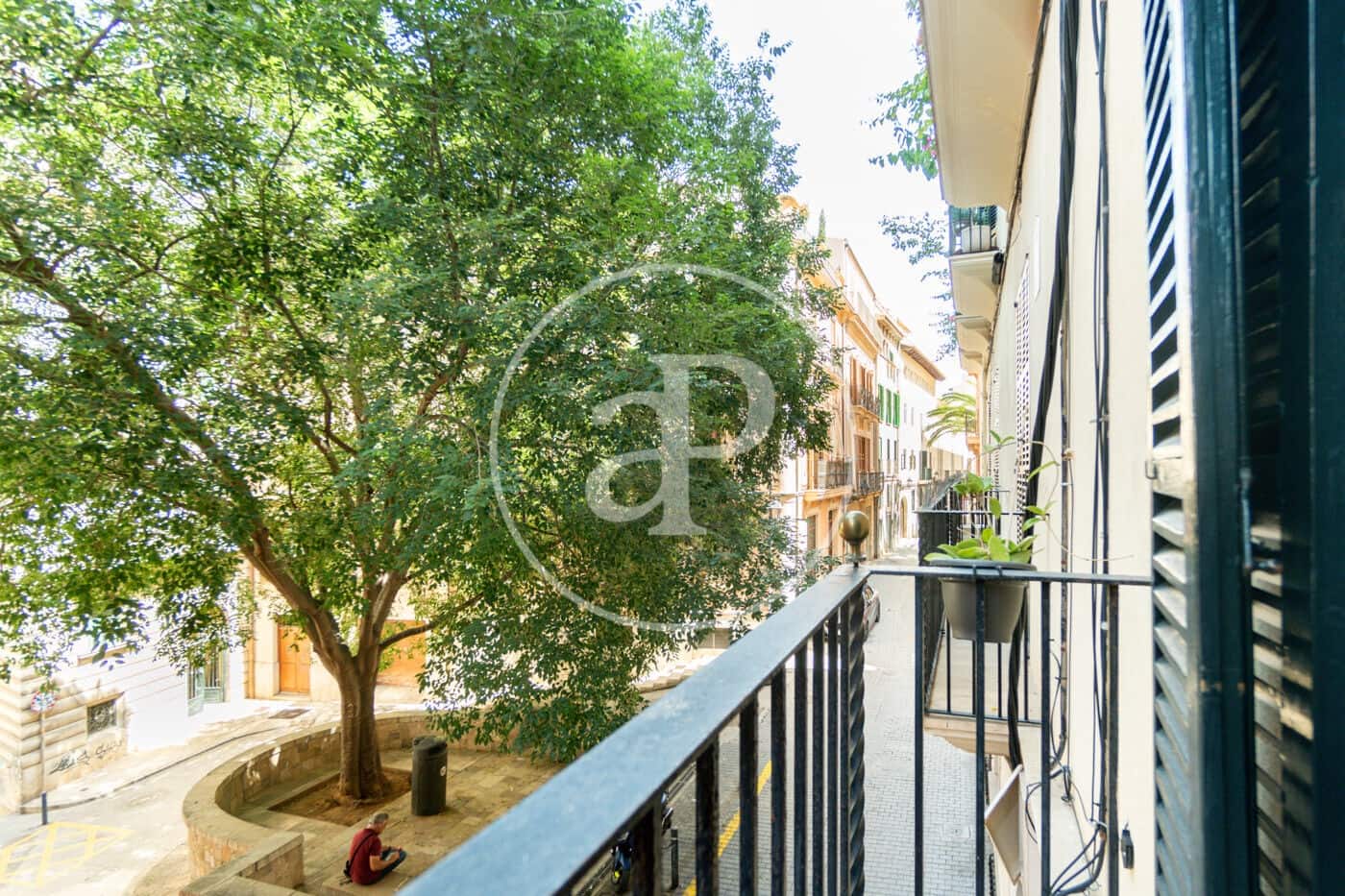 2 bedroom Apartment for rent in Palma de Mallorca - € 2,400 (Ref: 8802107)