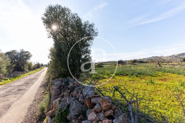 Undeveloped Land for sale in Santanyí - € 1,500,000 (Ref: 8810257)