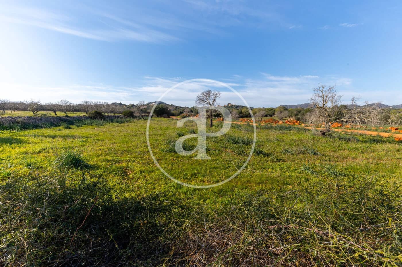 Teren niezagospodarowany na sprzedaż w Santanyi - 1 500 000 € (Ref: 8810257)