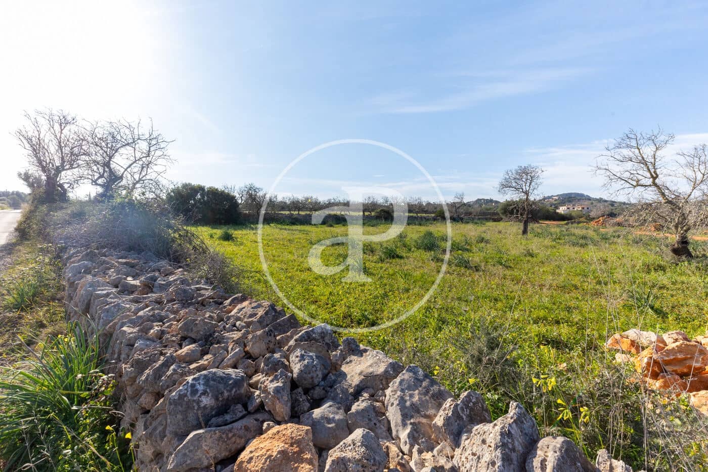 Teren niezagospodarowany na sprzedaż w Santanyi - 1 500 000 € (Ref: 8810257)