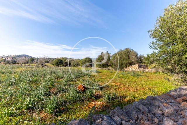 Undeveloped Land for sale in Santanyí - € 1,500,000 (Ref: 8810257)