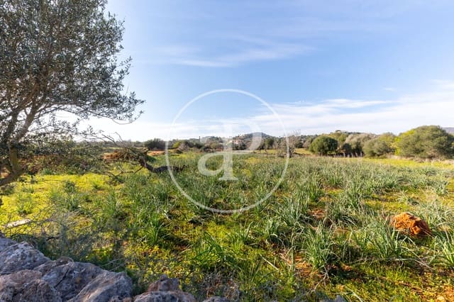 Undeveloped Land for sale in Santanyí - € 1,500,000 (Ref: 8810257)