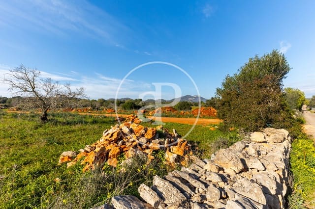 Undeveloped Land for sale in Santanyí - € 1,500,000 (Ref: 8810257)