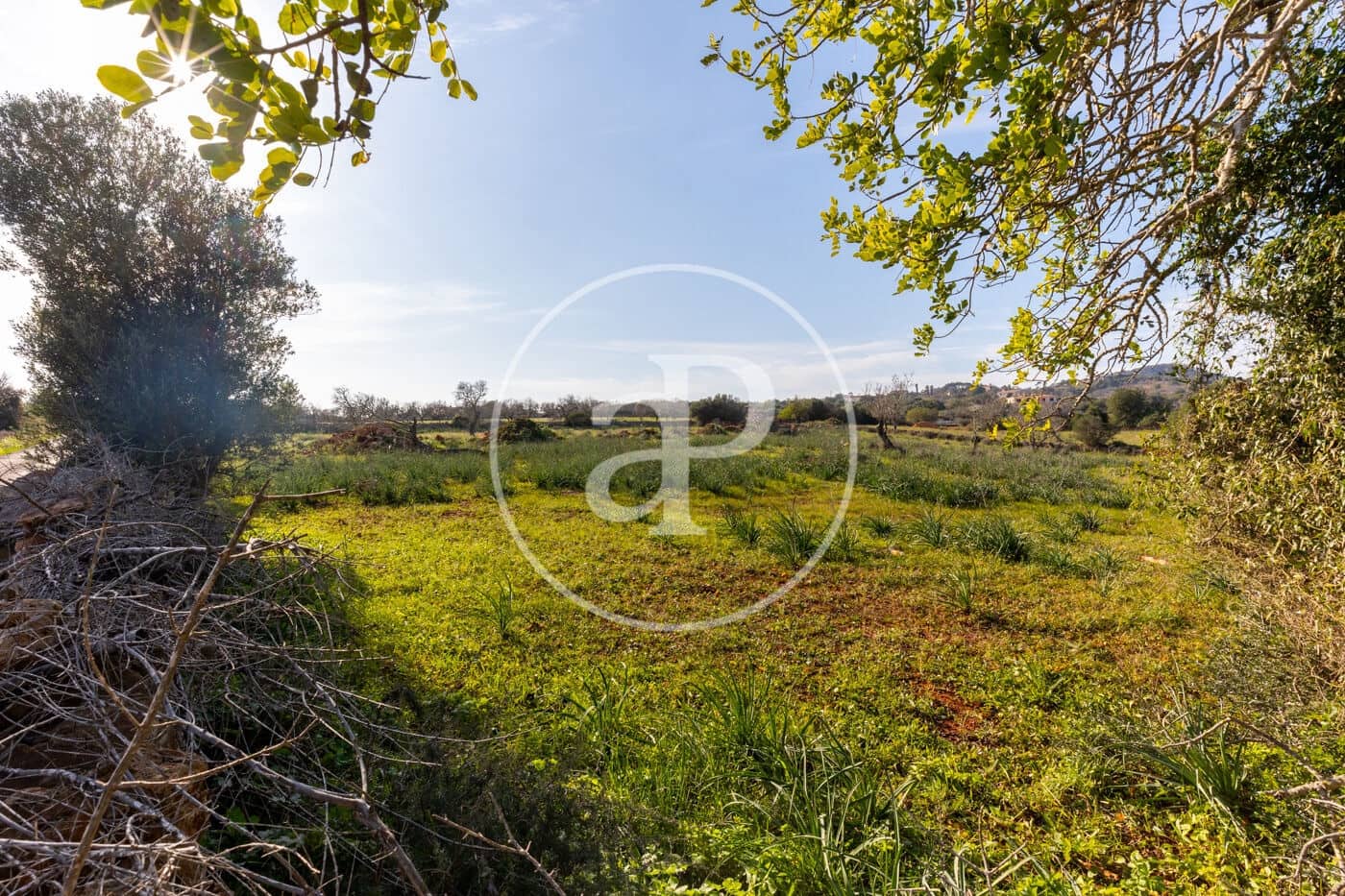Teren niezagospodarowany na sprzedaż w Santanyi - 1 500 000 € (Ref: 8810257)