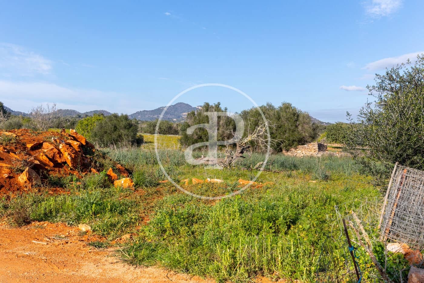 Teren niezagospodarowany na sprzedaż w Santanyi - 1 500 000 € (Ref: 8810257)