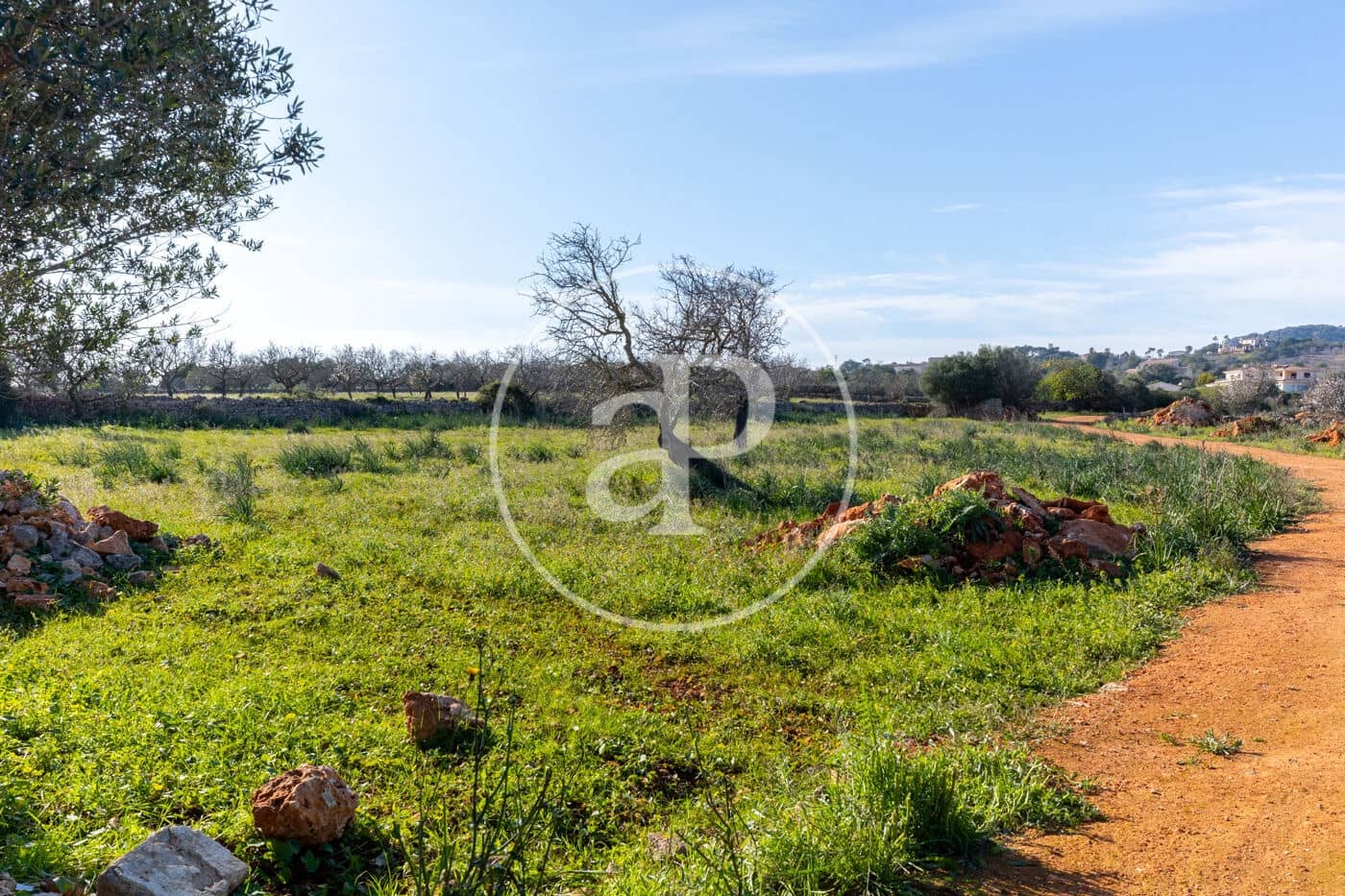 Teren niezagospodarowany na sprzedaż w Santanyi - 1 500 000 € (Ref: 8810257)