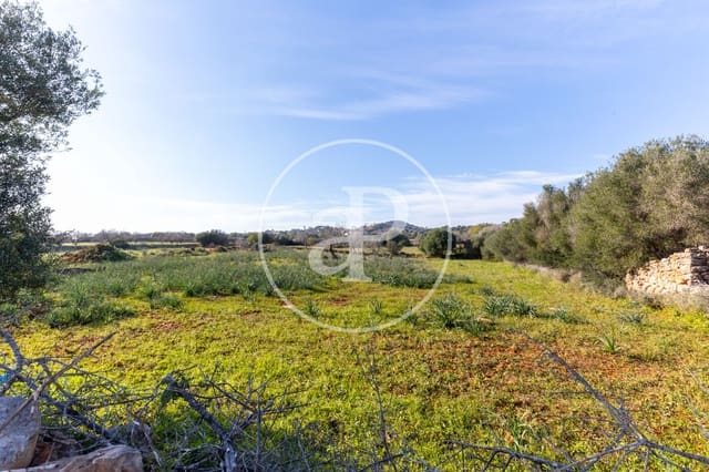 Undeveloped Land for sale in Santanyí - € 1,500,000 (Ref: 8810257)