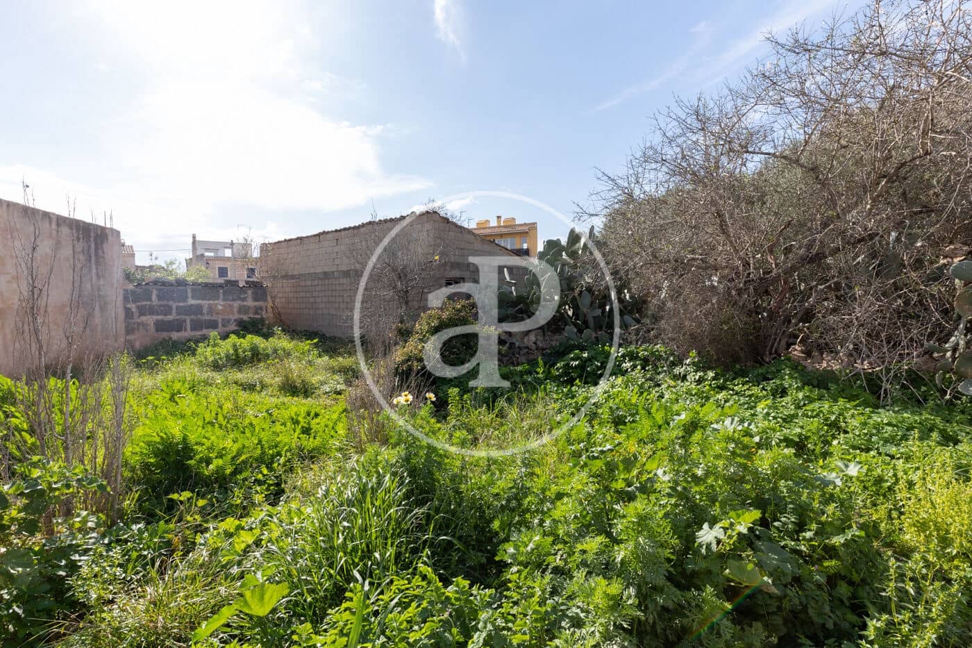 Rakentamaton maa myytävänä paikassa Santanyi - 1 500 000 € (Ref: 8813411)