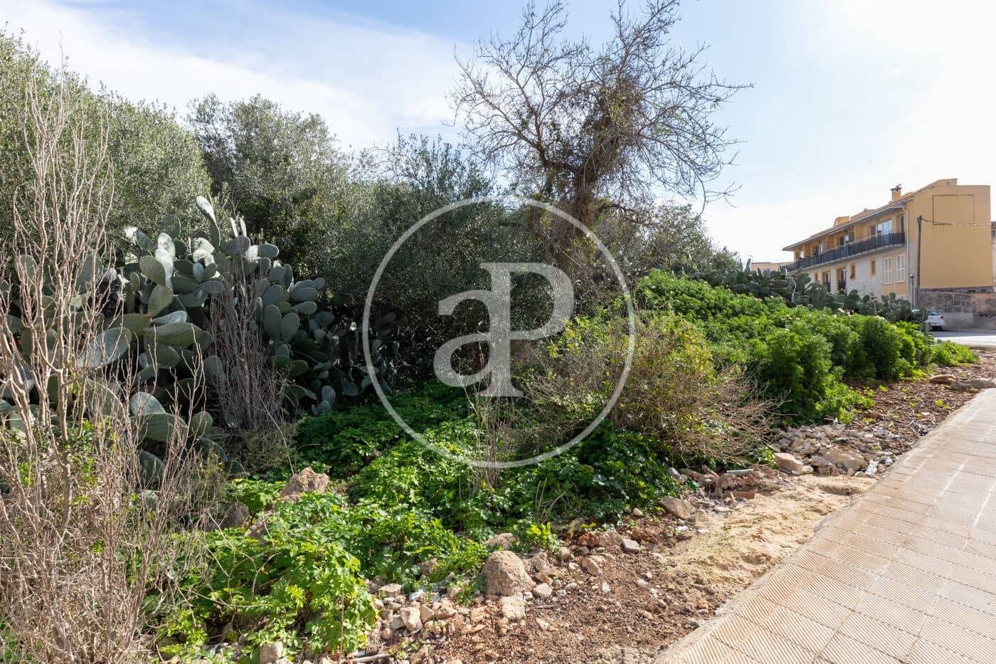 Rakentamaton maa myytävänä paikassa Santanyi - 1 500 000 € (Ref: 8813411)