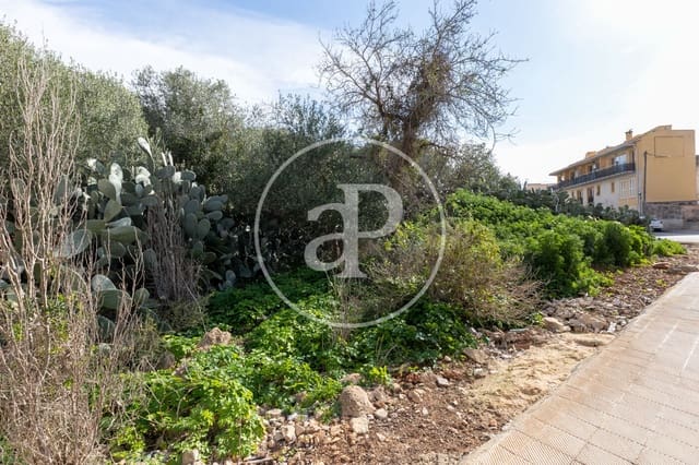 Undeveloped Land for sale in Santanyí - € 1,500,000 (Ref: 8813411)