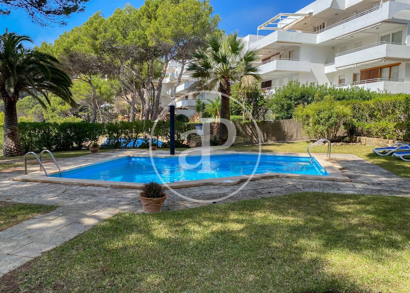 2 soveværelse Lejlighed til leje i Puerto de Andratx med swimmingpool - € 2.200 (Ref: 8825077)