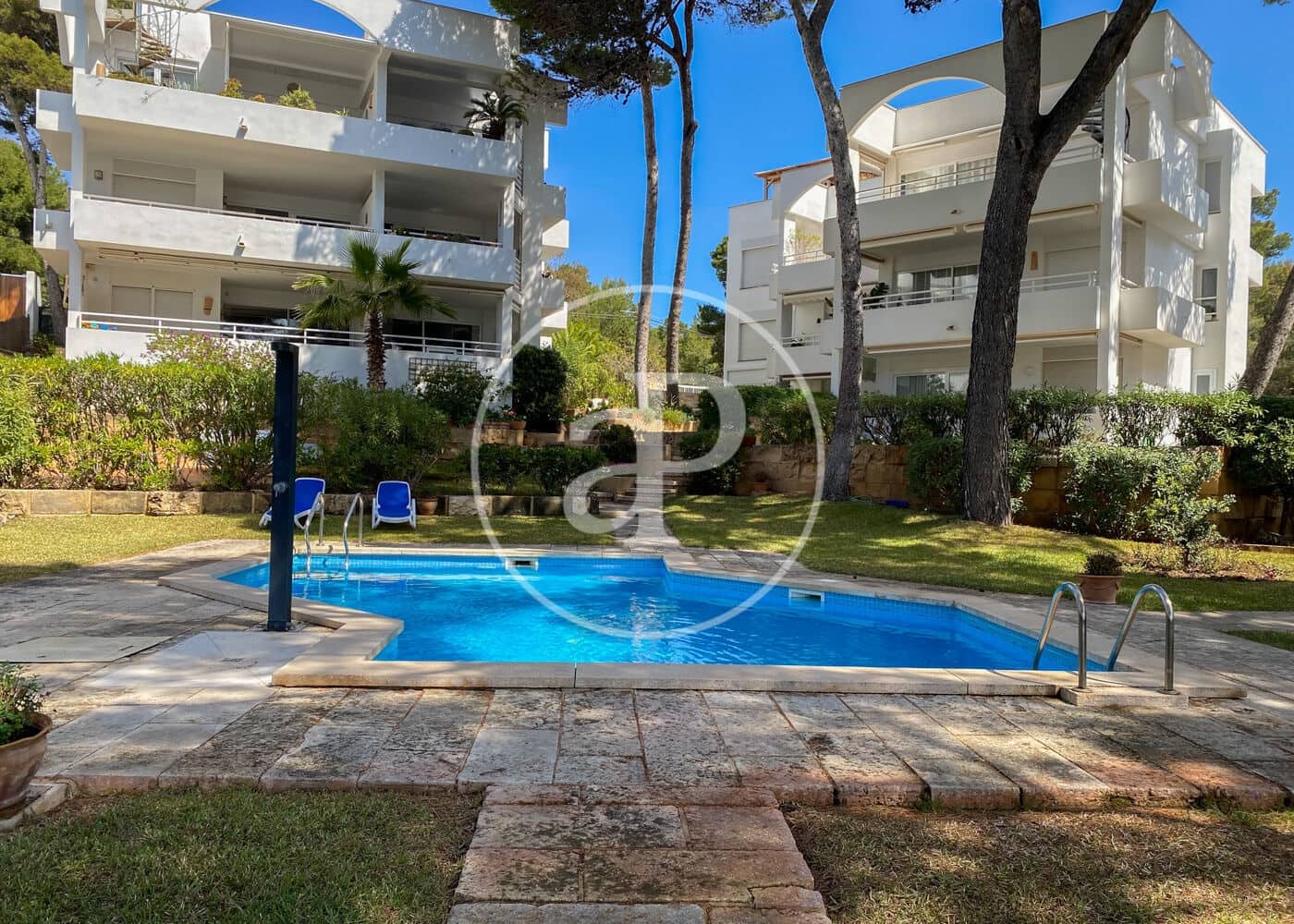 2 soveværelse Lejlighed til leje i Puerto de Andratx med swimmingpool - € 2.200 (Ref: 8825077)