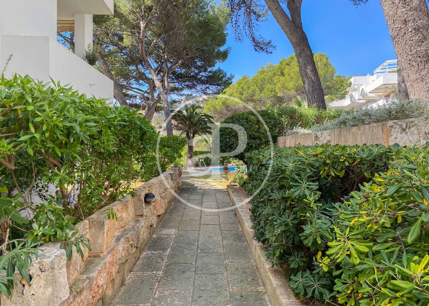 2 soveværelse Lejlighed til leje i Puerto de Andratx med swimmingpool - € 2.200 (Ref: 8825077)