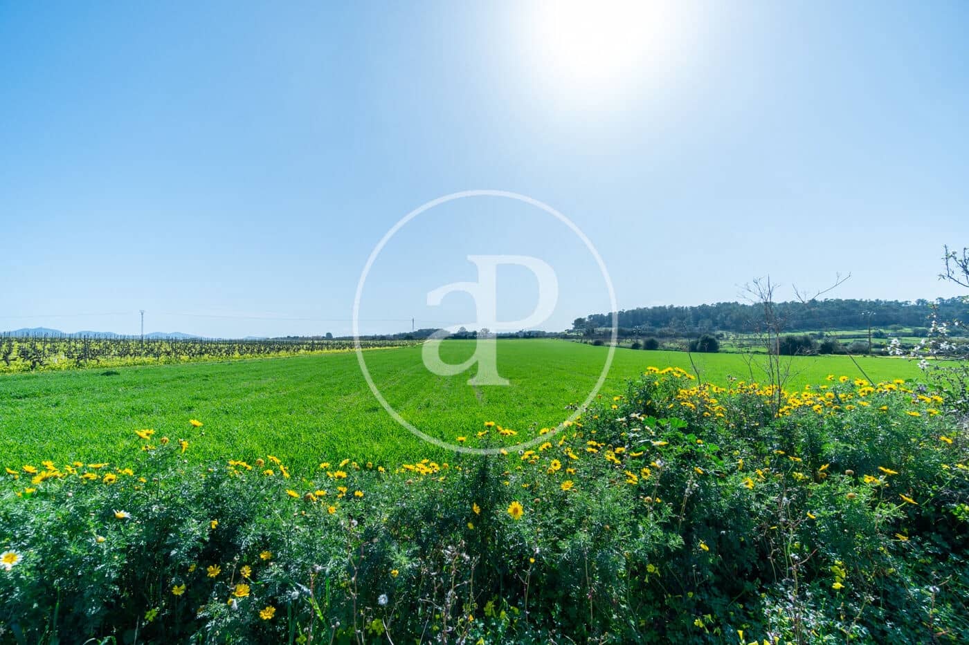 Mark till salu i Porreres - 235 000 € (Ref: 8827969)